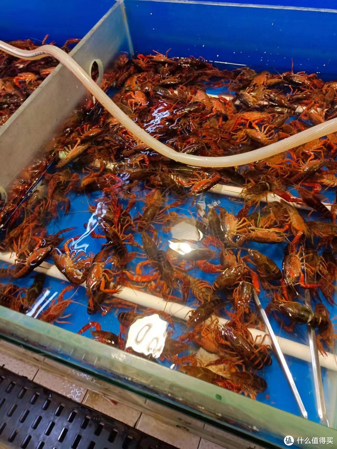 小龙虾，美味与文化的交汇点
