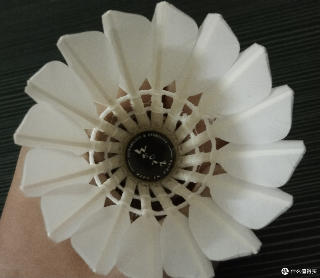 羽球人，你会选择黑威肯吗？