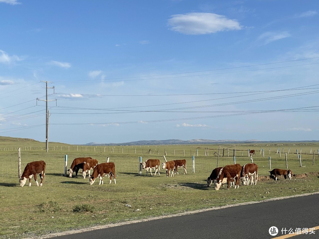 内蒙古自驾游记：避开人群走走达达线&热阿线，路上的风景不容错过！