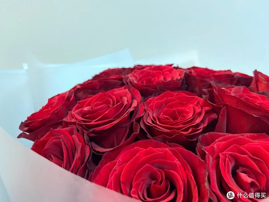 要学会爱自己，献给自己的红玫瑰