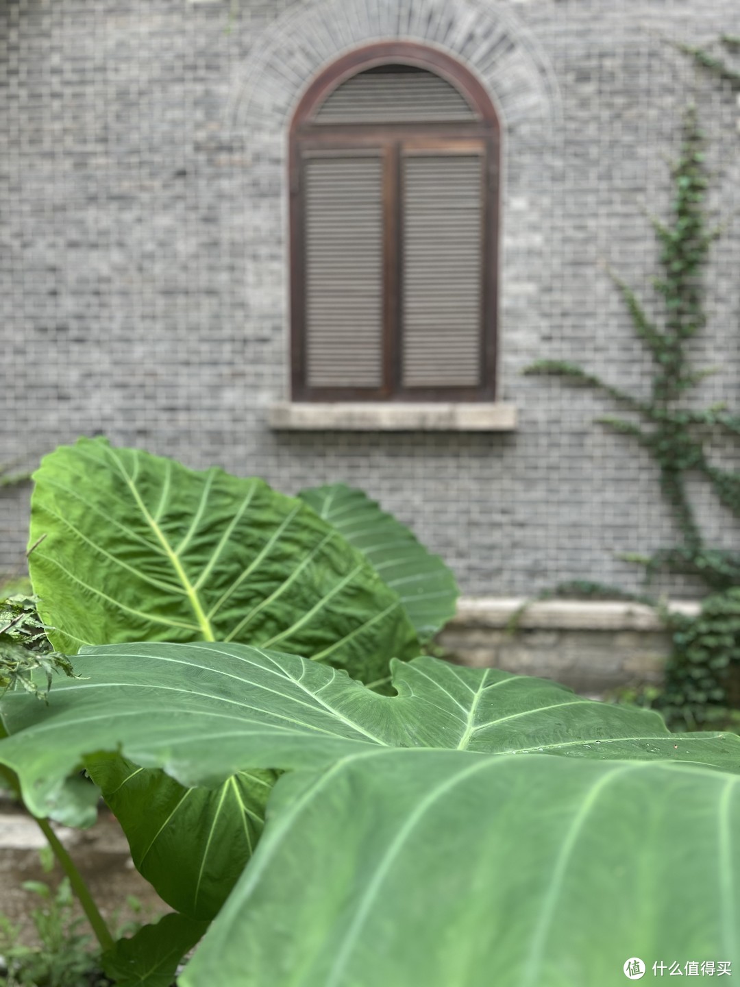 食记— 感觉很夏天的川迹