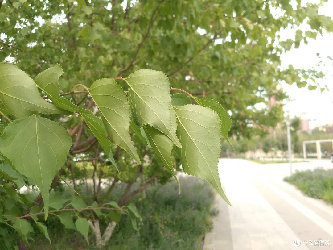 论拍照仪式感，还得看相机？松典DC201S数码相机评测