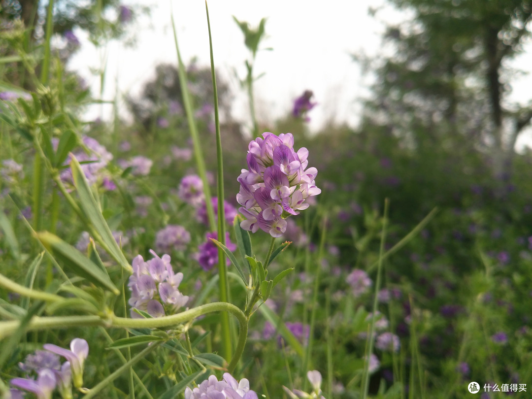 论拍照仪式感，还得看相机？松典DC201S数码相机评测