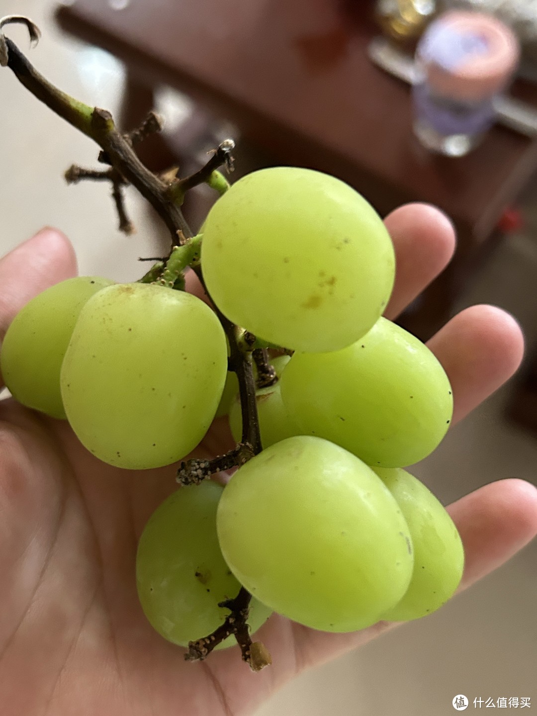 葡萄是一种美味可口的水果