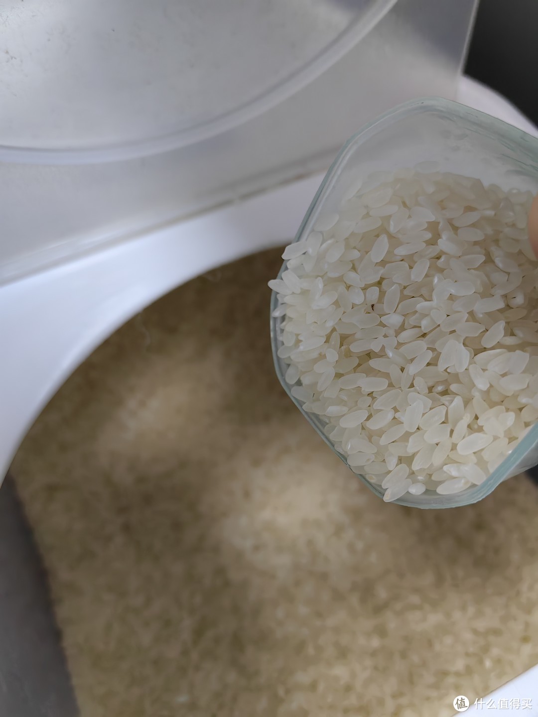 米饭香气飘飘，低于2块一斤