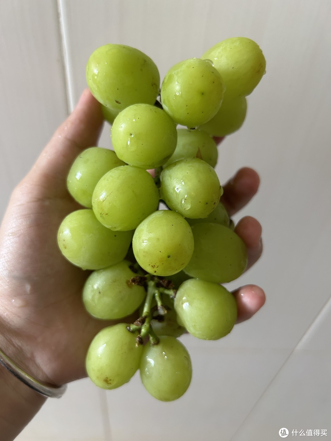 葡萄是一种美味可口的水果，它具有丰富的营养价值和独特的口感。葡萄的外皮光滑而有弹性﻿