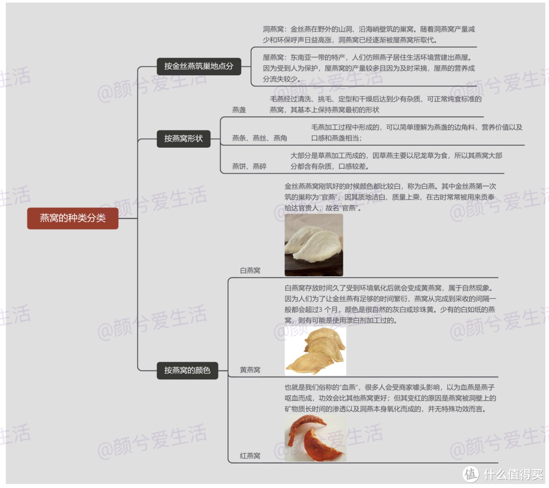 燕窝是智商税吗？干燕、鲜炖、即食燕窝怎么选？