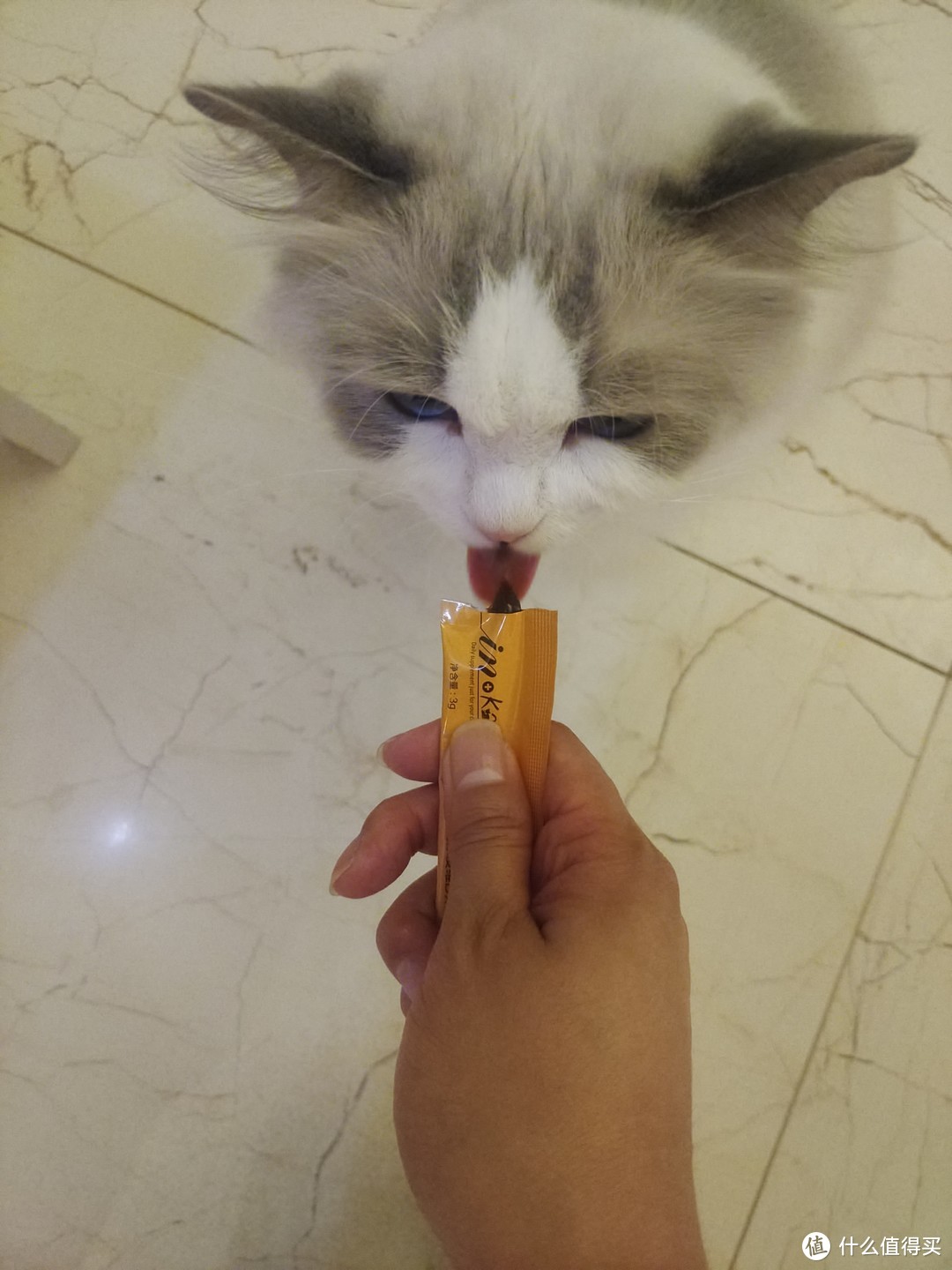 小猫咪爱吃的维生素B营养膏