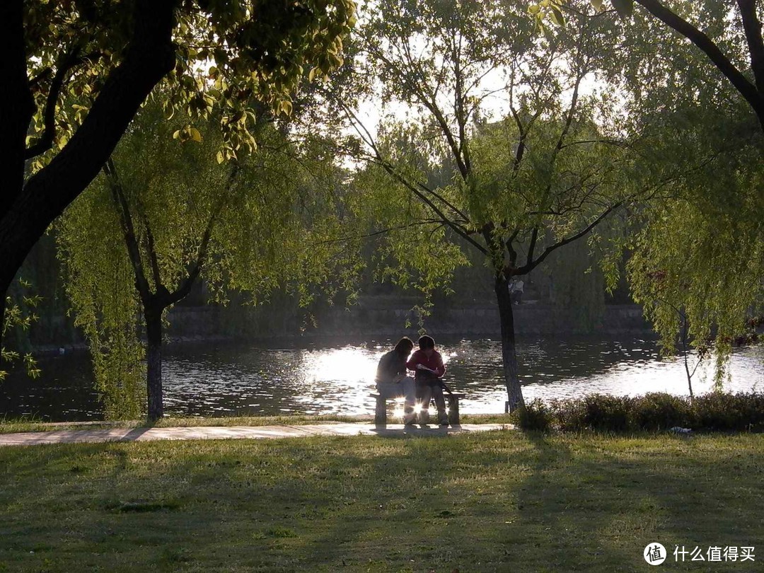 上海交通大学闵行校区思源湖边的记忆/湖边的风景/闵行校区的中心地带，绿树成荫，花草葱茏/高考加油