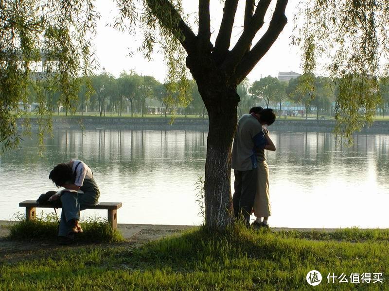 上海交通大学闵行校区思源湖边的记忆/湖边的风景/闵行校区的中心地带，绿树成荫，花草葱茏/高考加油