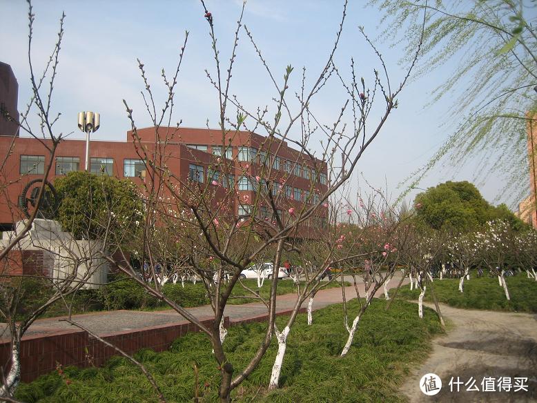 上海交通大学闵行校区思源湖边的记忆/湖边的风景/闵行校区的中心地带，绿树成荫，花草葱茏/高考加油