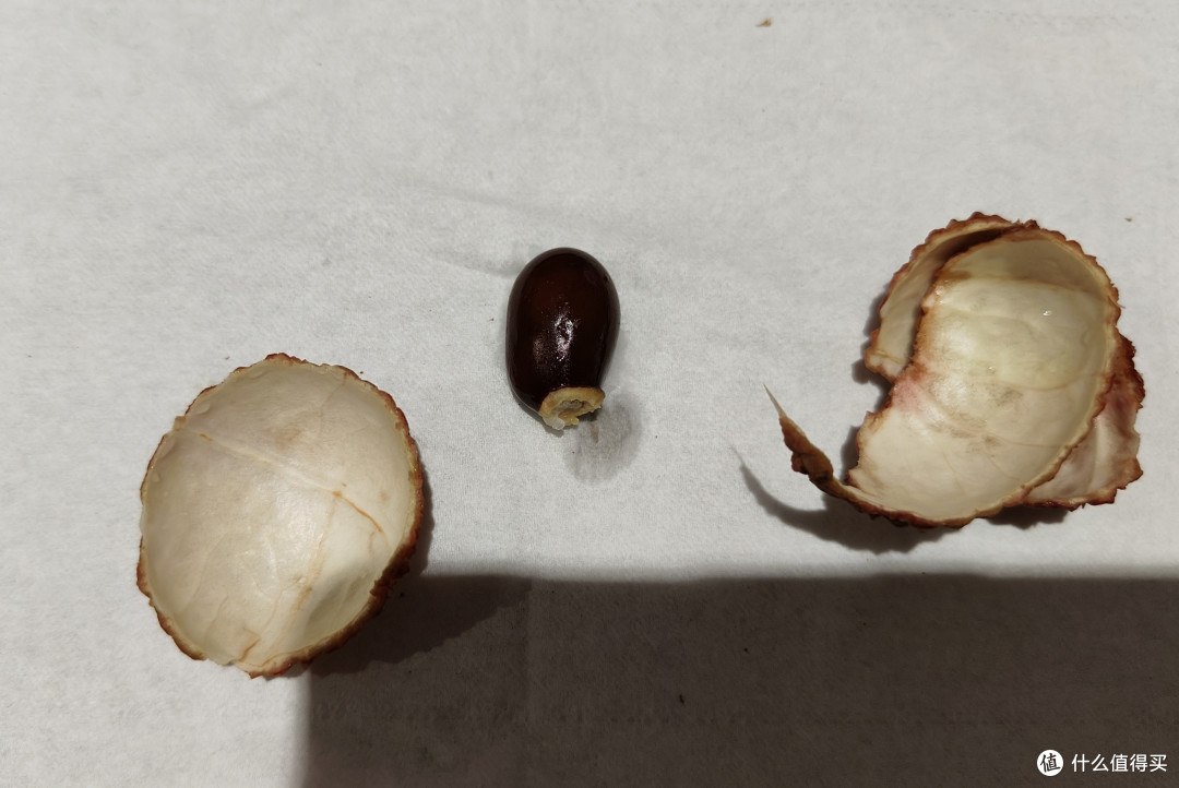 冰冻荔枝可解暑,荔枝吃出优质蛋白,挑选需谨慎,胆小敏感值友注意避让!