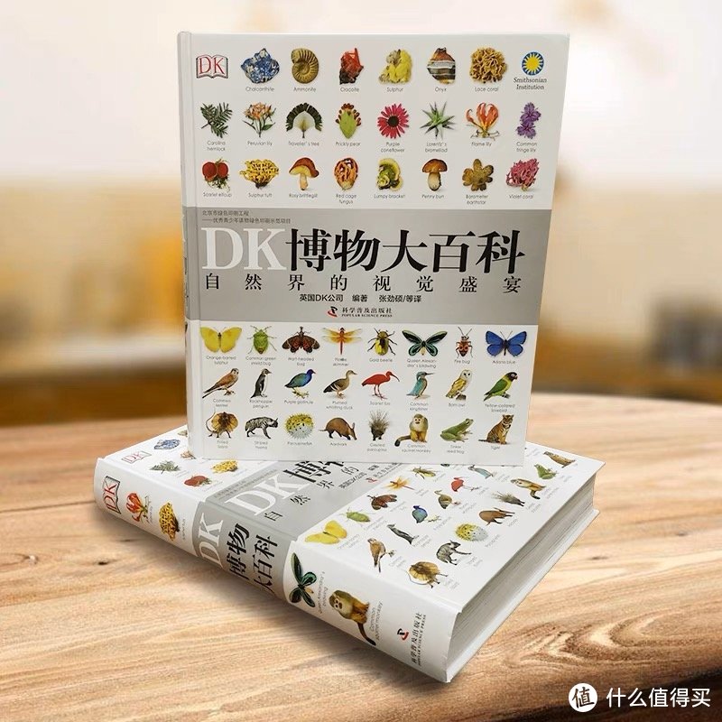 DK博物大百科：自然界的视觉盛宴