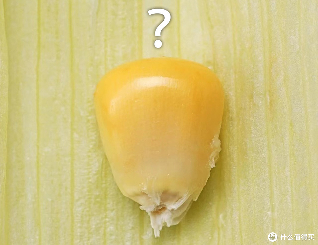 脱皮玉米粒能否可以成为小朋友的健康零食？