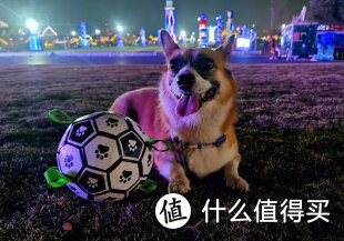 快乐之球，陪伴无限——HOOPET狗玩具球给宠物带来欢乐时光