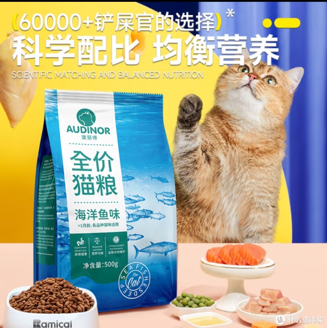 铲屎官日常｜养猫怎么少得了猫粮？猫粮推荐下