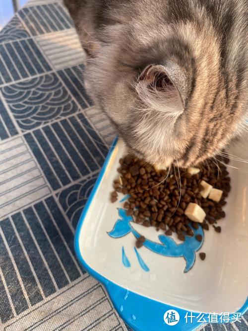 小安心猫粮——陪伴成长的味道