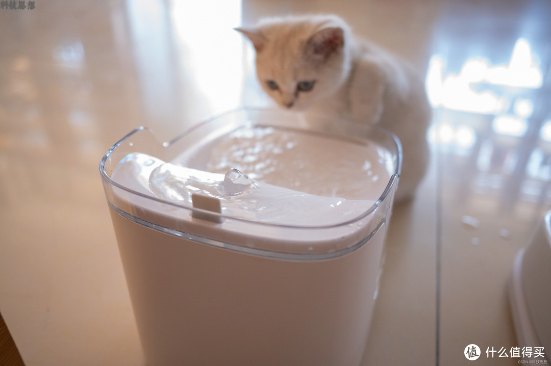 猫咪的自助智能水吧，超大容量干净卫生，宠咕咕宠物智能饮水机体验