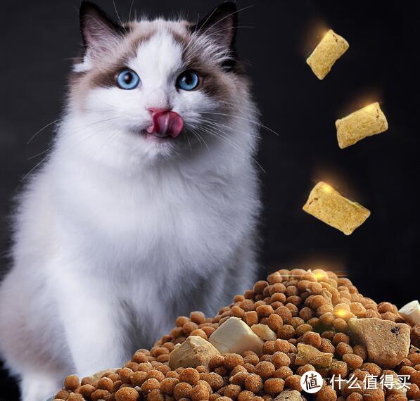 亿迪猫粮，让猫咪健康成长的好口粮!