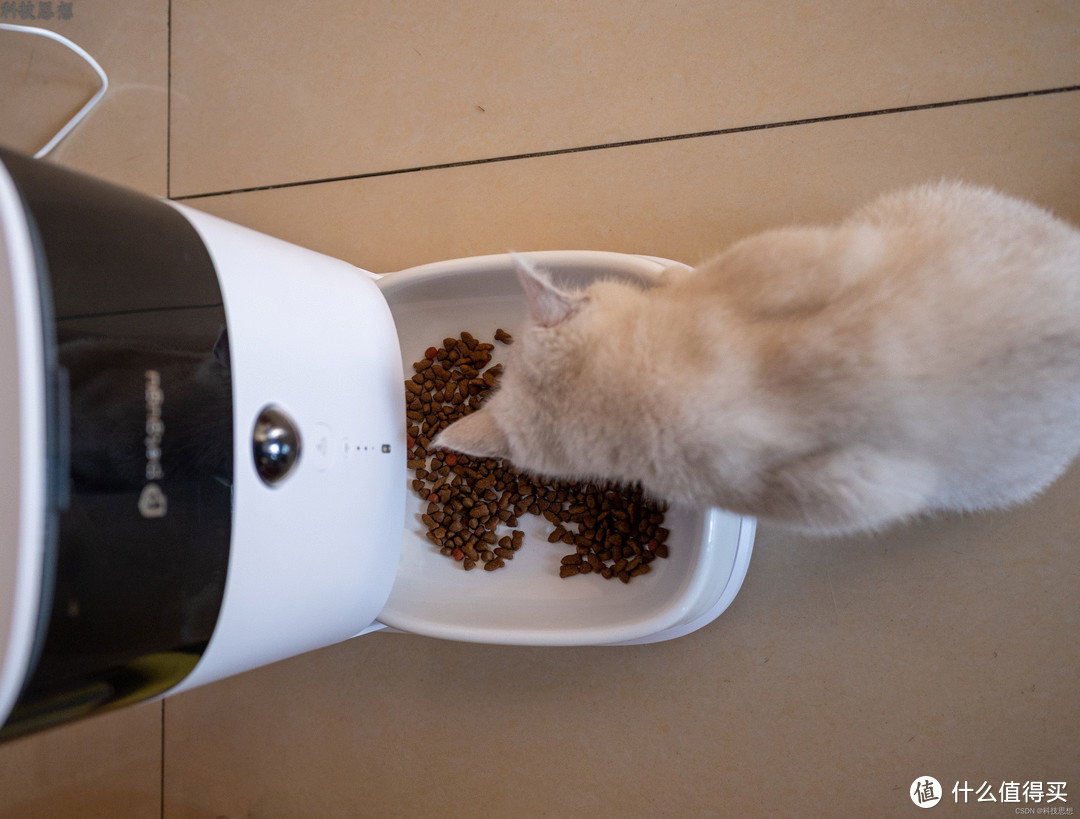 给猫咪更健康的饮食体验，宠咕咕智能宠物喂食器上手
