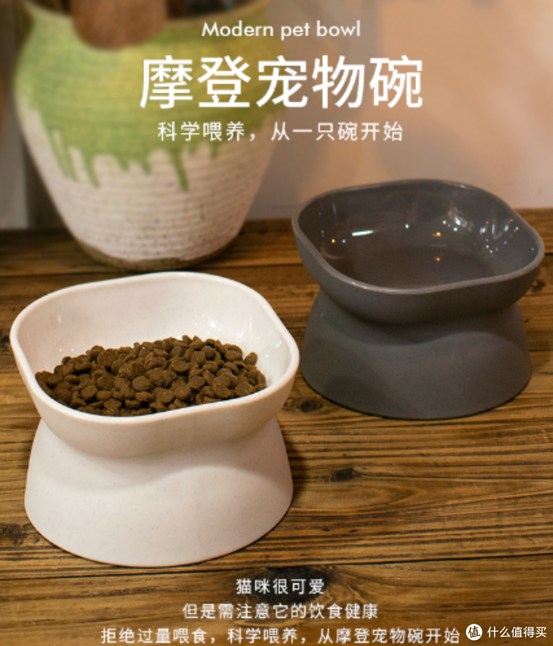 宠物的专属用具——乐优派猫碗狗碗，打造便利健康的用食环境