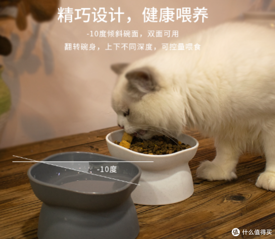 宠物的专属用具——乐优派猫碗狗碗，打造便利健康的用食环境