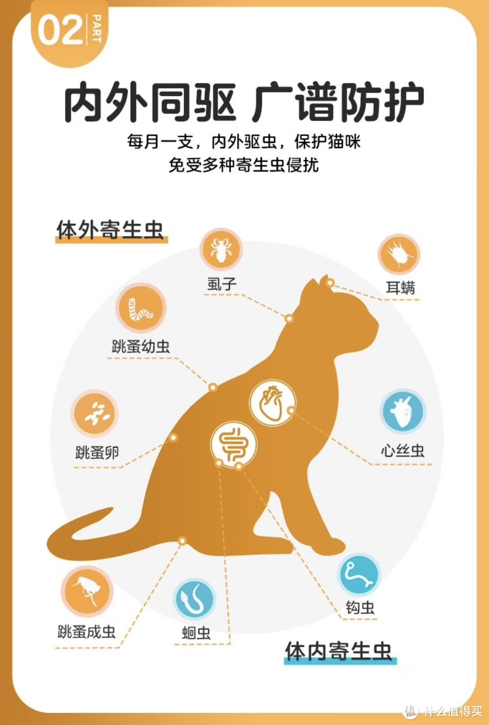 养猫的主子们，一定要记得给猫猫驱虫哦