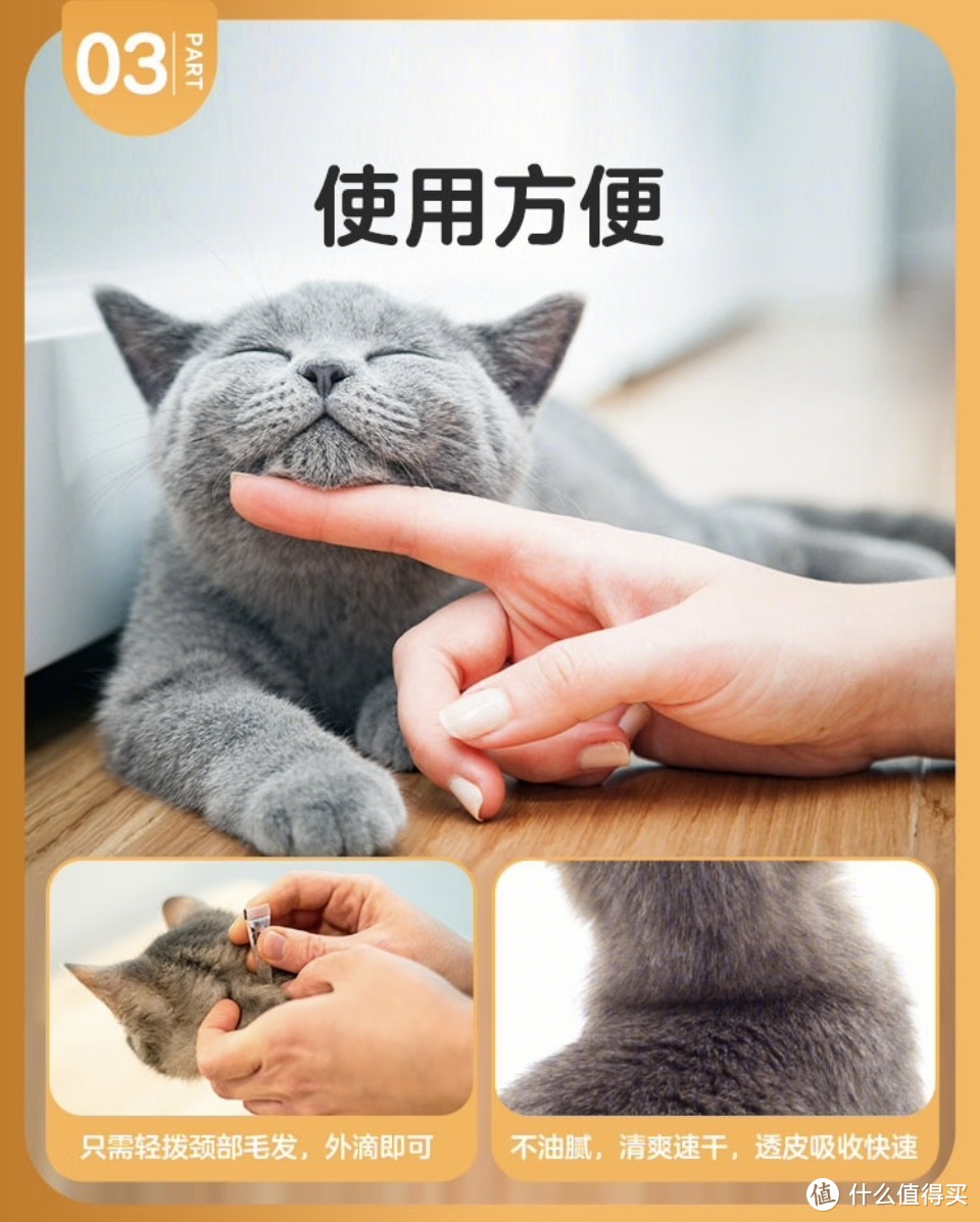 养猫的主子们，一定要记得给猫猫驱虫哦