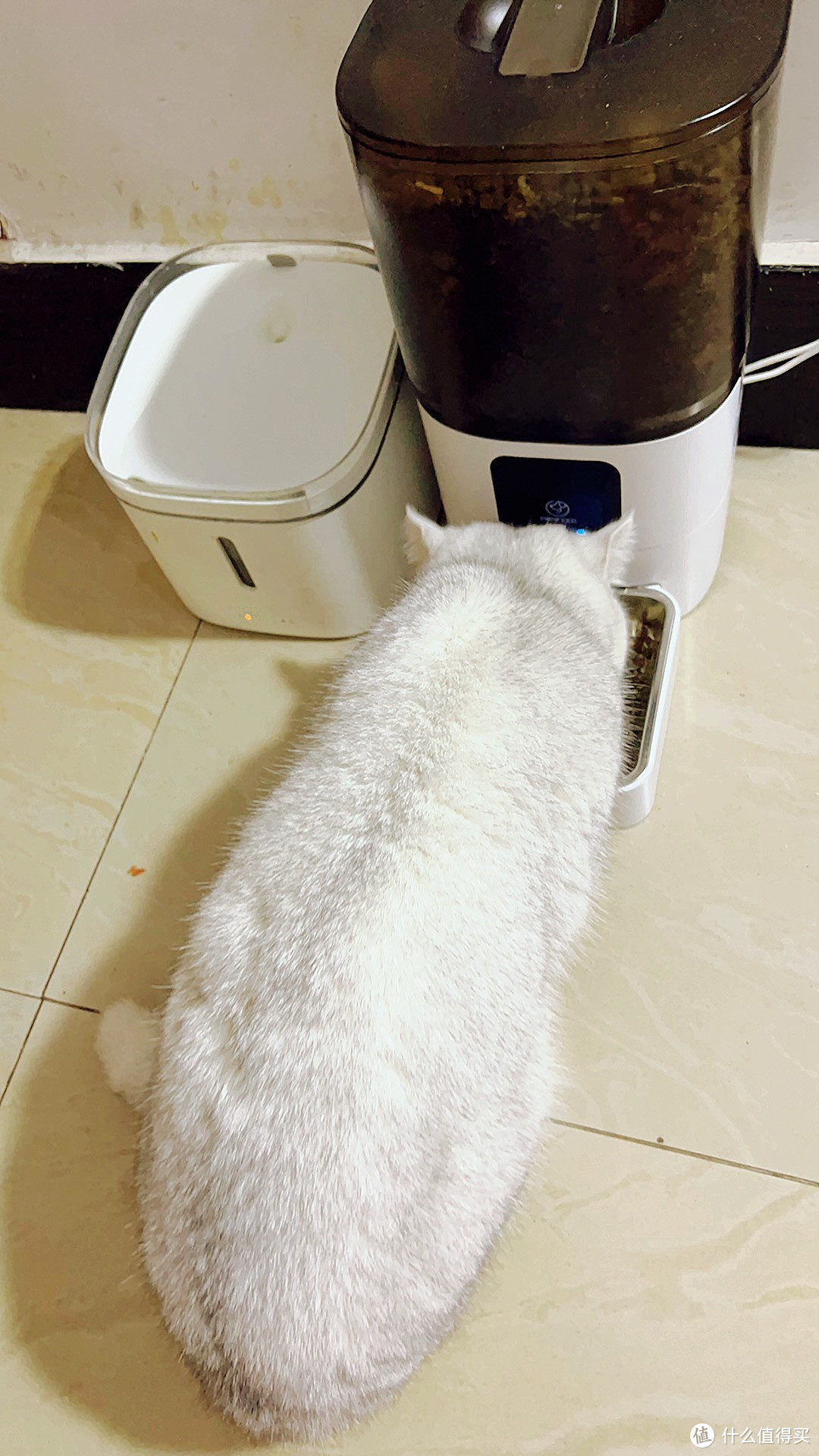 PAPIFEED猫咪自动喂食器宠物智能定时定量猫粮狗粮