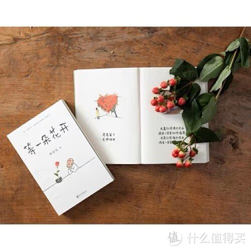 《等一朵花开》读后感