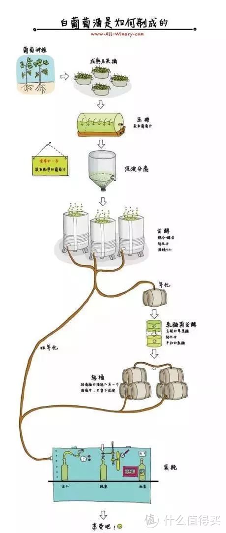 法式浪漫的代名词-香奈红葡萄酒