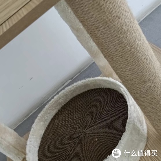 给猫咪拿了一款爬树的大型玩具