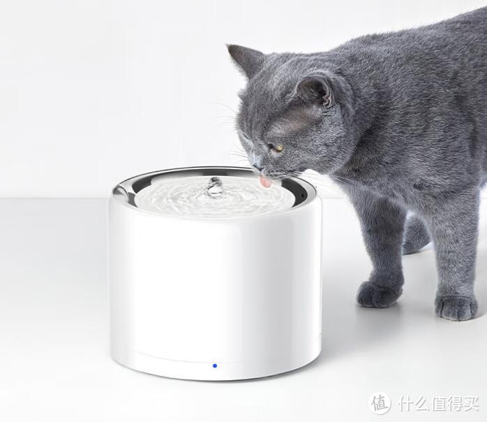 小佩猫咪饮水机，智能便捷的爱宠饮水机器！