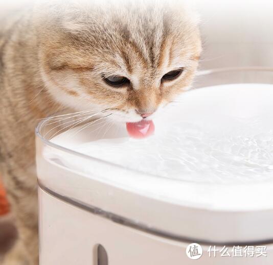 米家猫咪喝水专业饮水机，多重过滤保障猫咪饮食健康！