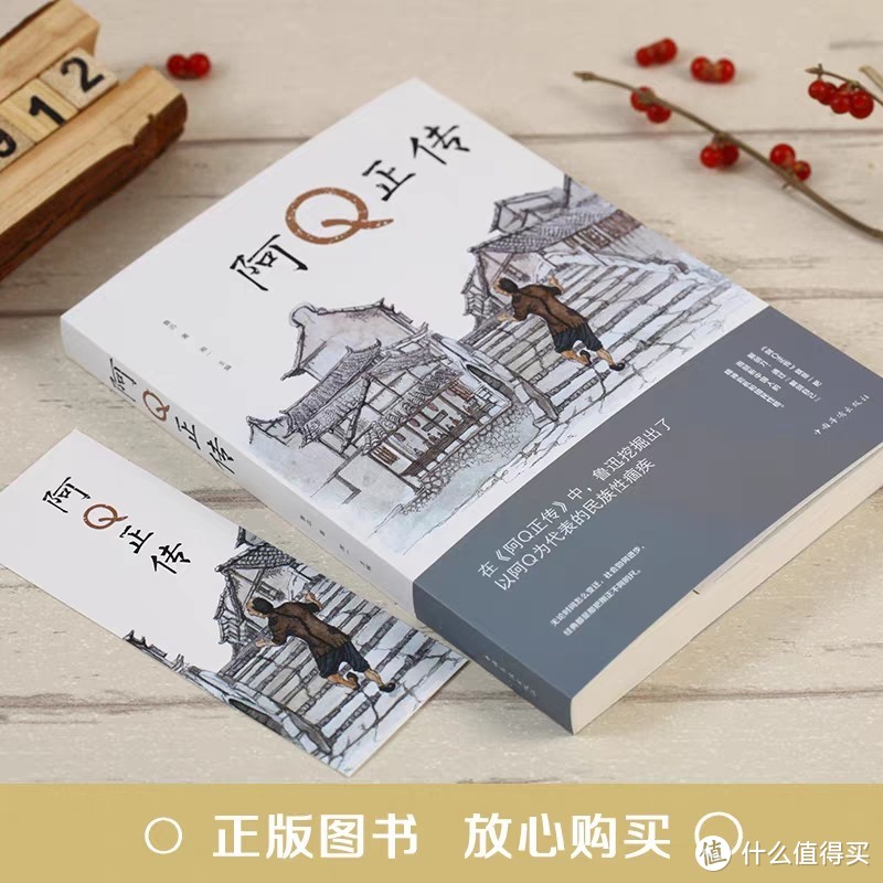 非常建议读一读鲁迅先生的《阿Q正传》