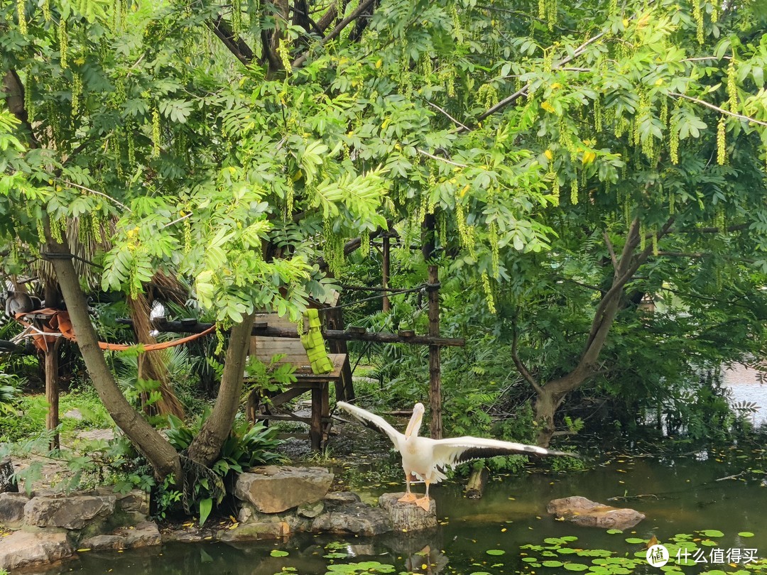 南京红山动物园一日游