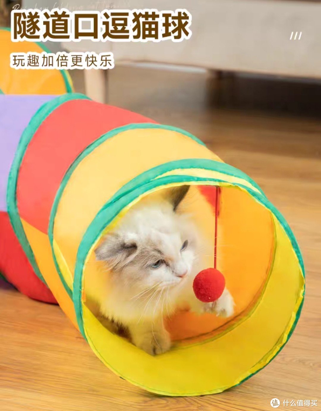 铲屎官好物推荐：猫咪玩具!猫咪当然也要玩具。