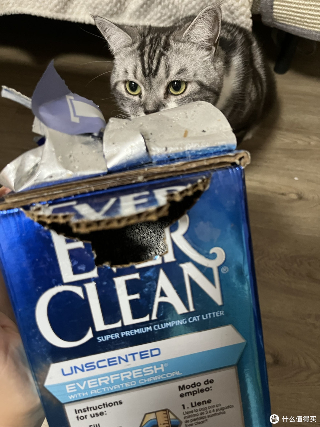 超级除臭的猫砂搭配分享！