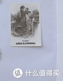 《安娜卡列尼娜》——探索人性的经典之作
