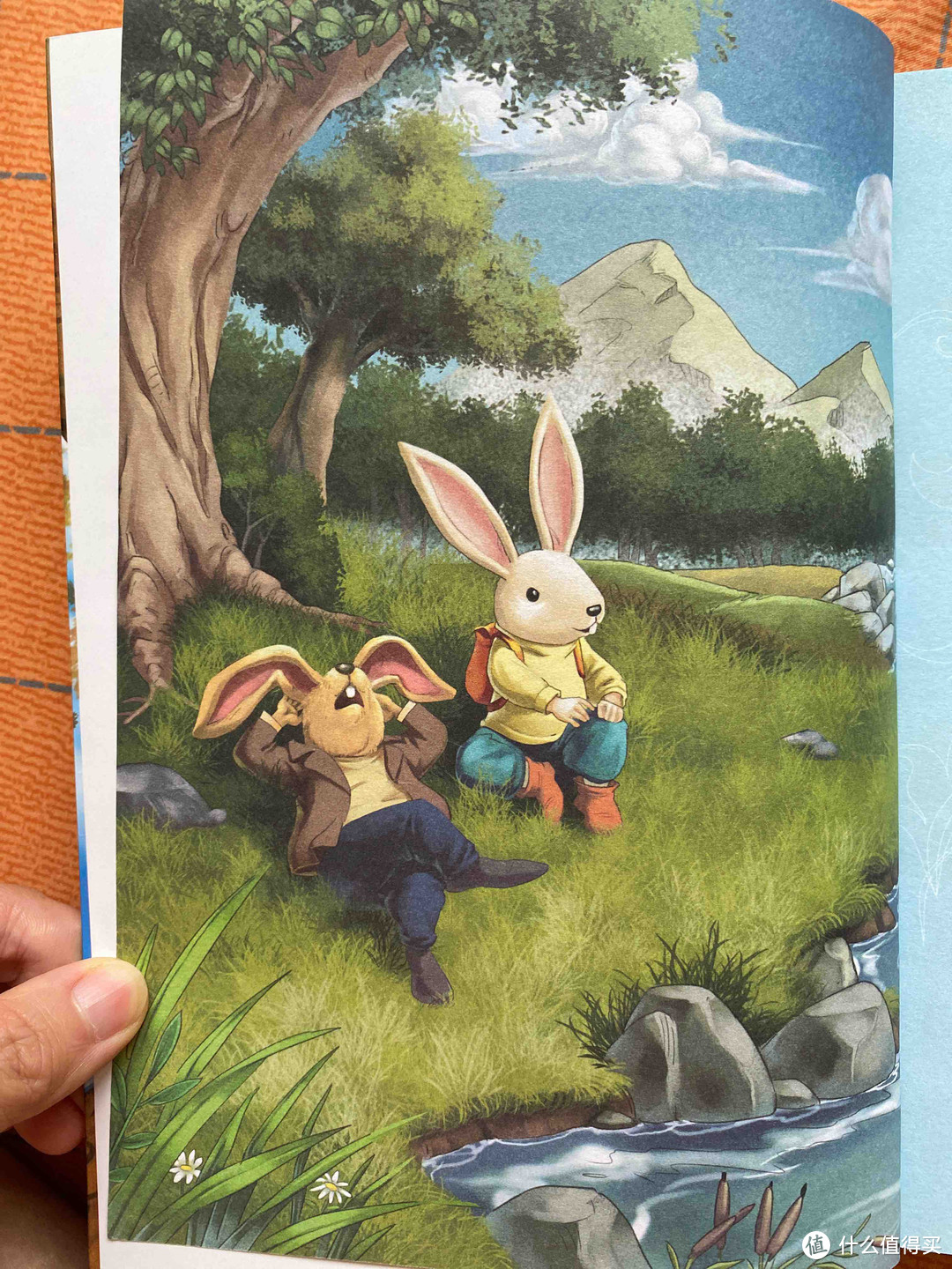 纽伯瑞儿童金奖文学作品《兔子坡》阅读体验，一起感受文学经典的永恒魅力！