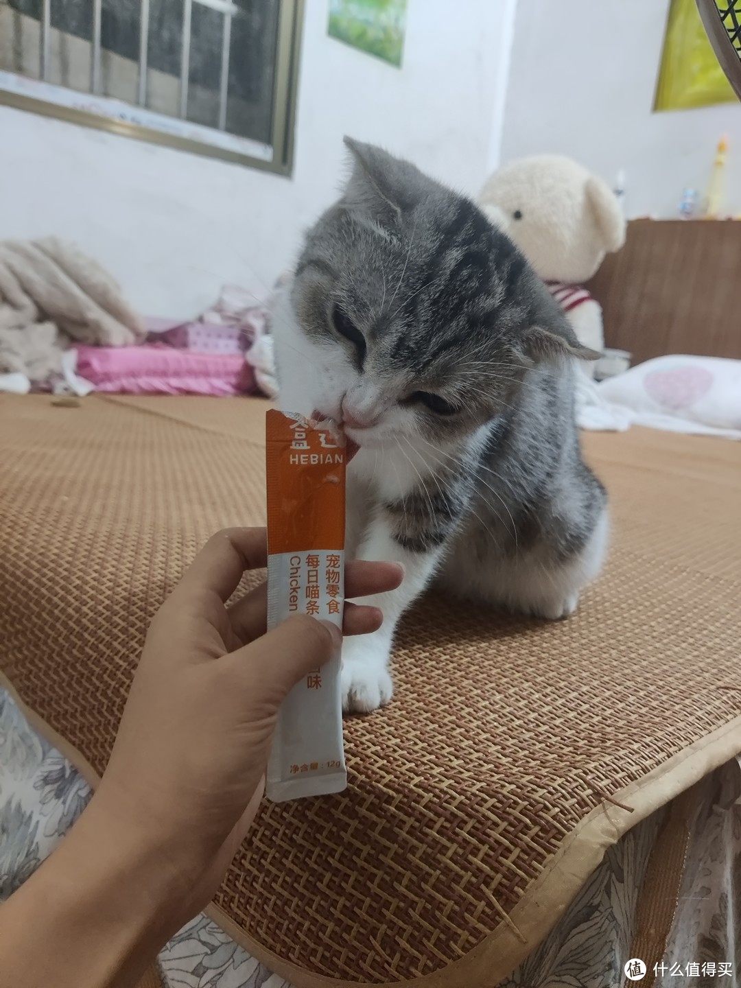 盒边猫条  性价比极高的平民猫猫零食