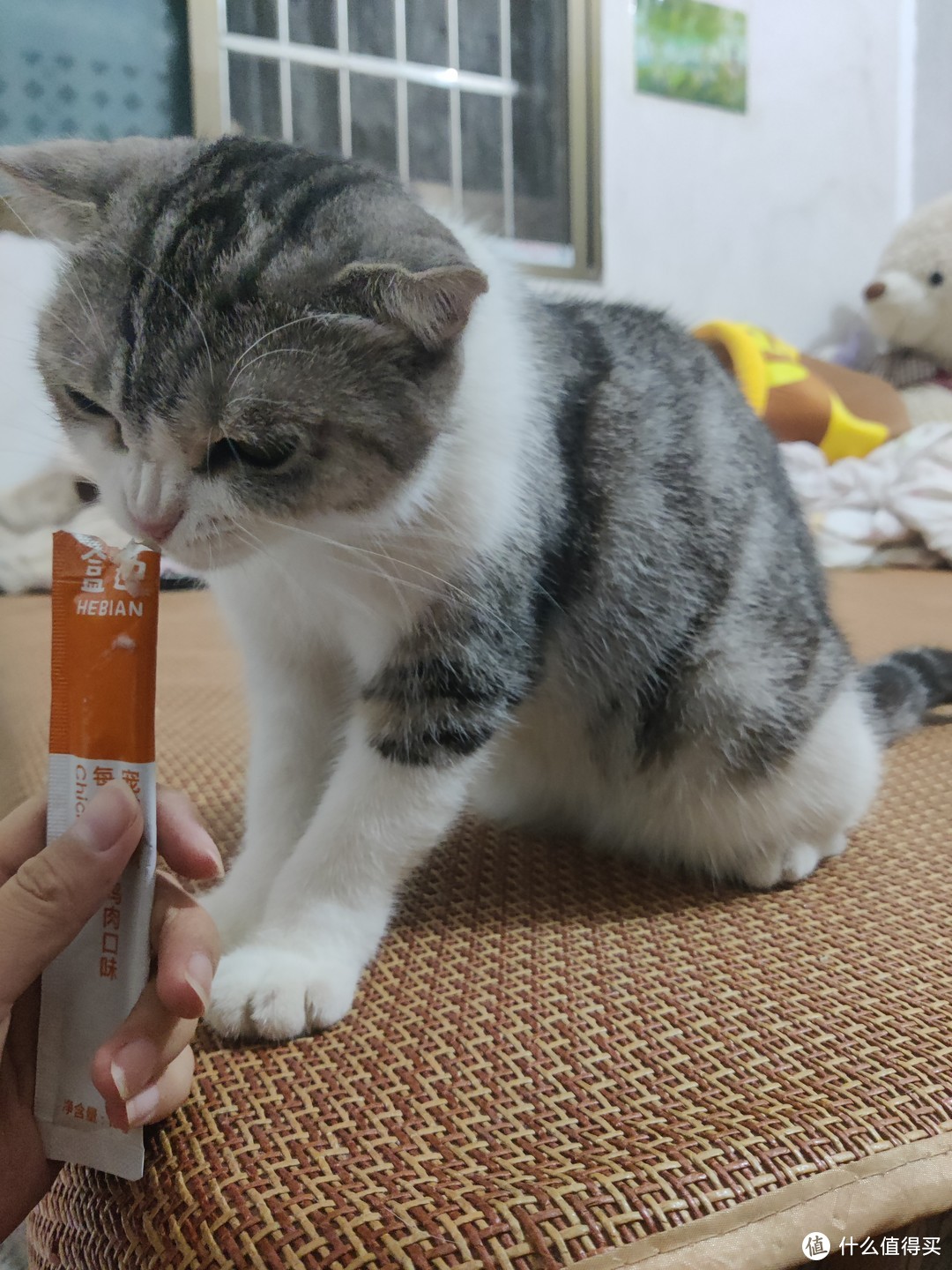 盒边猫条  性价比极高的平民猫猫零食