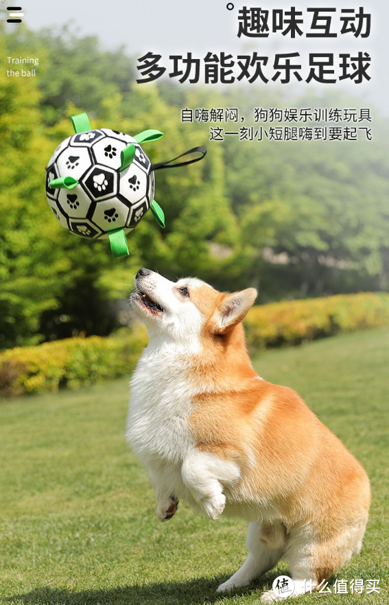 KimPets狗狗玩具球——让宠物嗨玩的好物