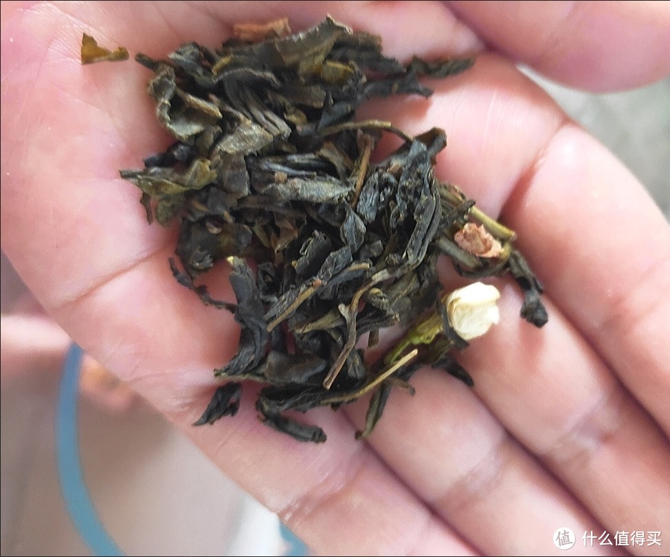 新茶茉莉花茶叶2023年雨前茉莉花茶特级浓香耐泡型