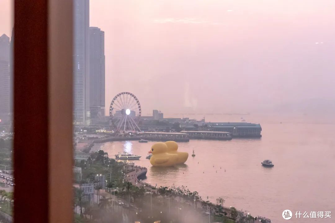 解锁大黄鸭不同视角 香港君悦酒店