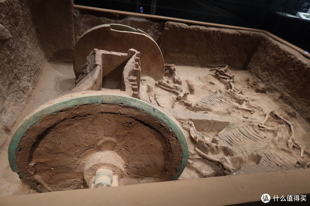 一眼长安三万年——陕西考古博物馆游记