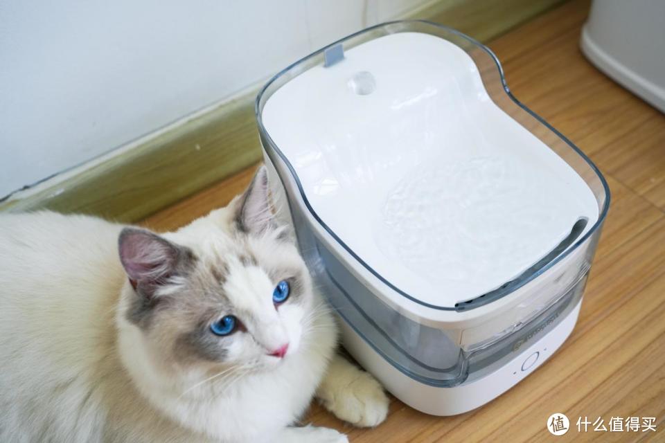 宠咕咕瀑布饮水机，让猫主子爱上喝水，喝干净水。