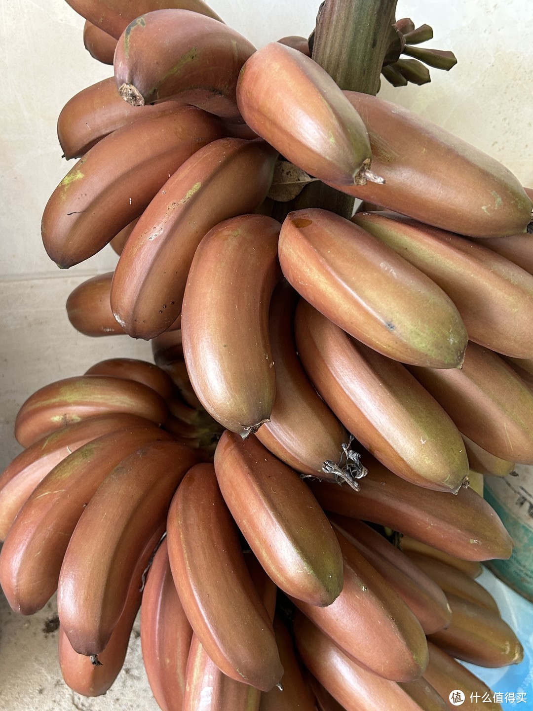 香蕉是一种常见的水果