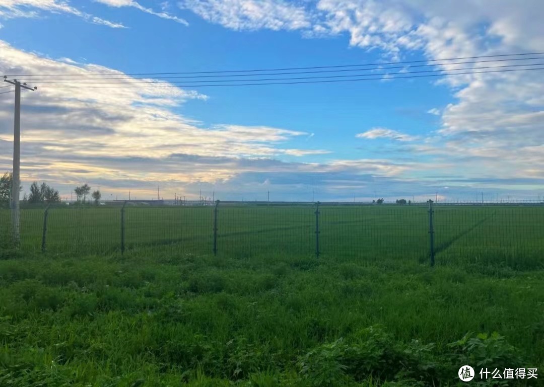 夏日避暑好去处:溪溪湖湿地公园