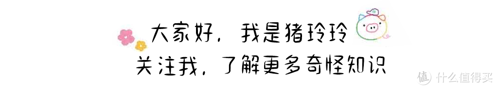 双原生ISO微单集合，买相机的时候你会注意这个吗？